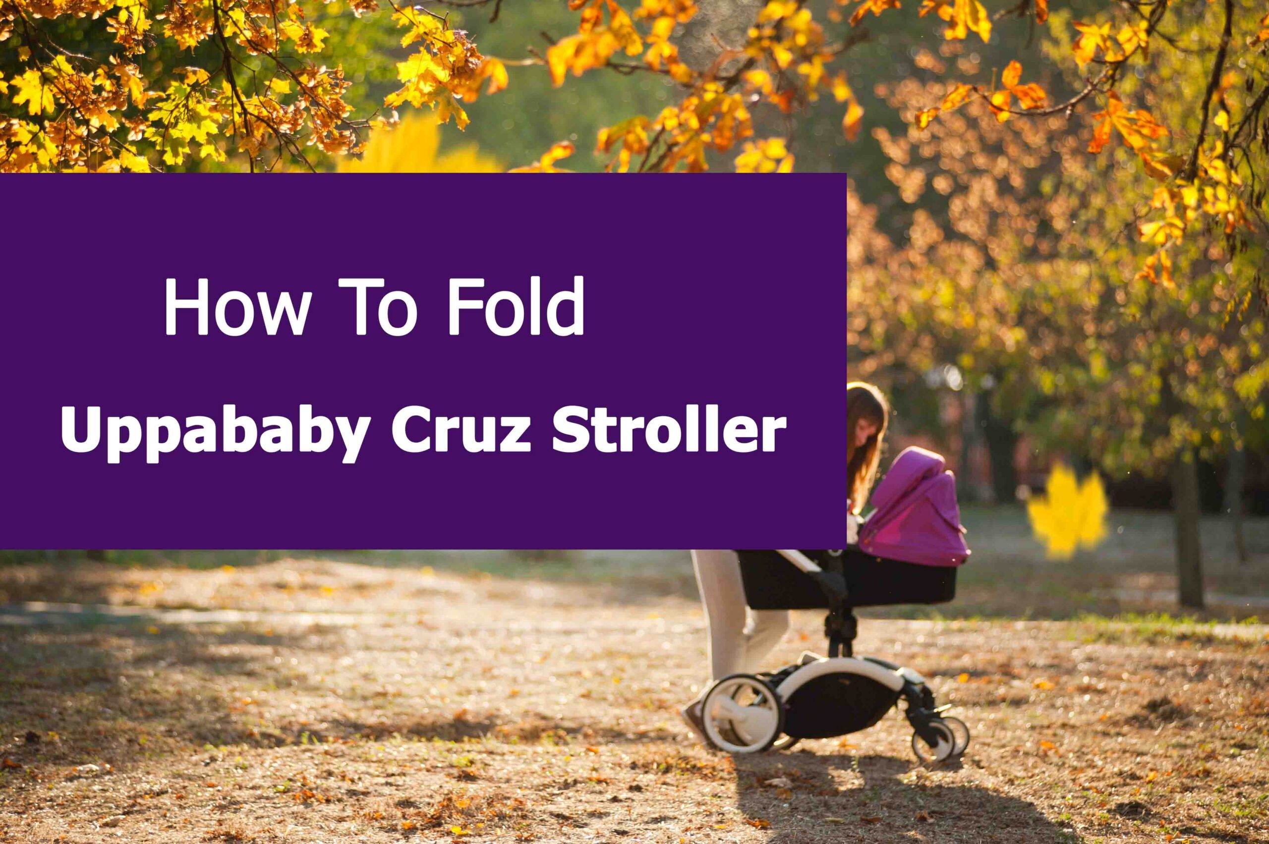 How To Fold An Uppababy Cruz Stroller?